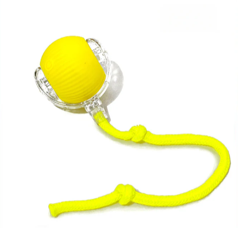 ROLLIX™ | Palla Interattiva Pet-Friendly